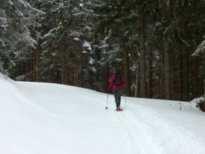 Schneeschuhwanderung auf die Niedere Bleick