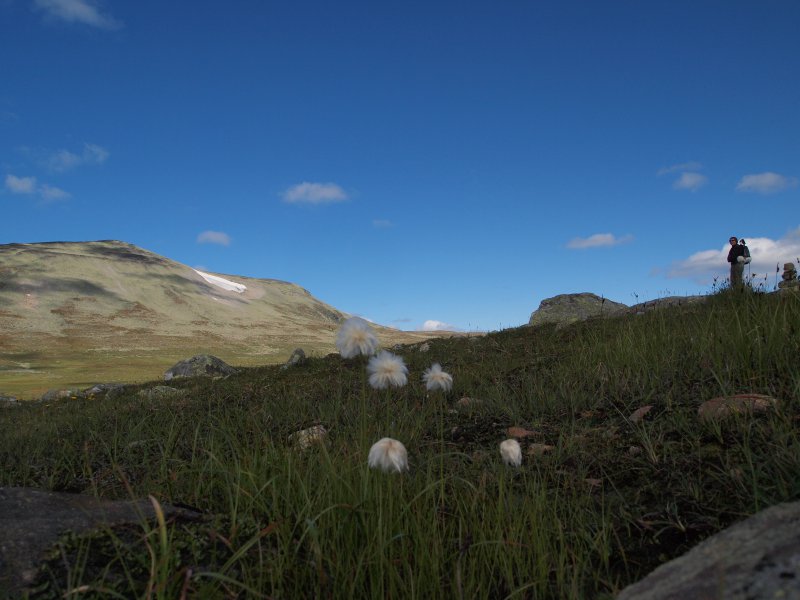 Torfinnsbu in Norwegen