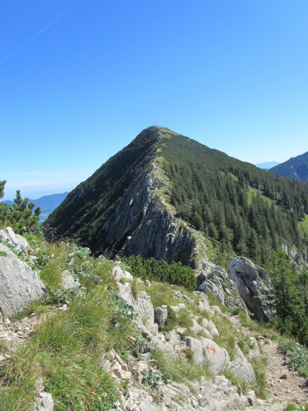 Brecherspitz - Blick zurueck zum Gipfel