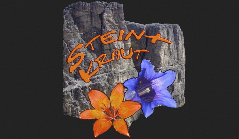 Stein und Kraut - Bergtouren und Alpenblumen-Archiv