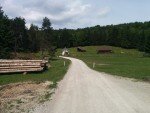 Kranzberg - Weide vor dem Buchenwald