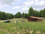 Weide vor dem Buchenwald - Kranzberg