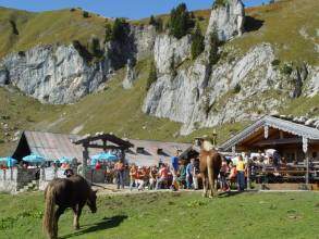 Fest am Berg - Stie-Alm
