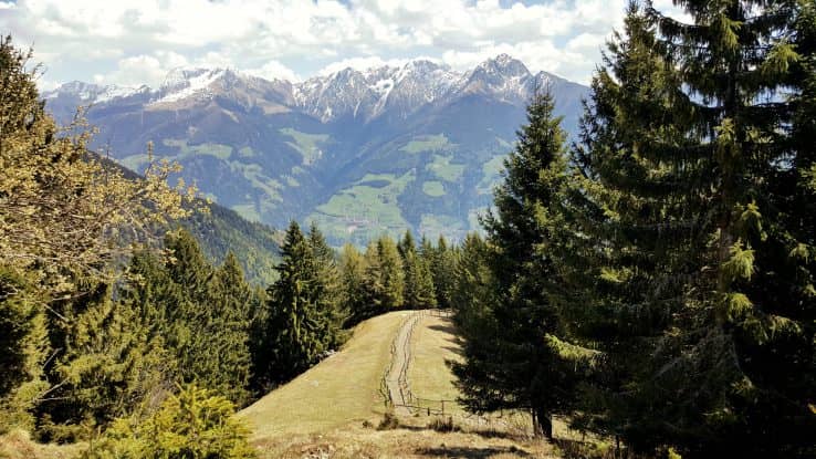 Schön angelegter Wanderweg auf den Muthang