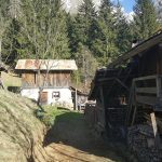 Almen auf Rückweg 18A