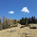 Grasrücken Lauwand