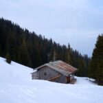 Langer Aufstieg im Wald - Copyright: Gipfelfieber.com