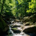 Auf dem Heinrich-Heine-Weg im Harz © Gipfelfieber